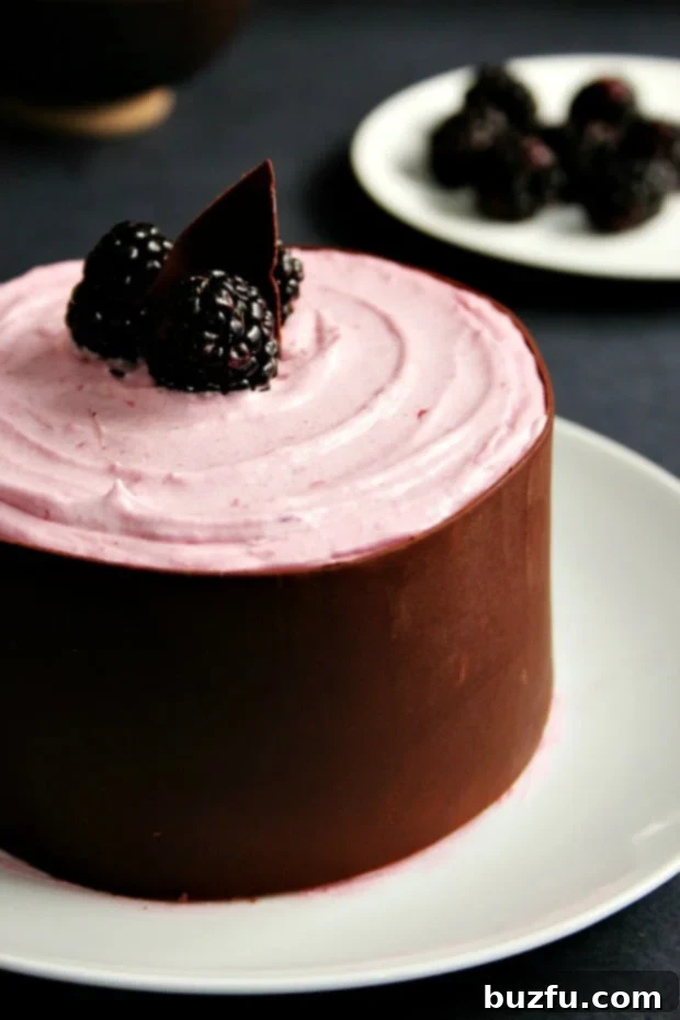 Luscious Chocolate Mini Cakes with Blackberry Buttercream 1 featured 10576
