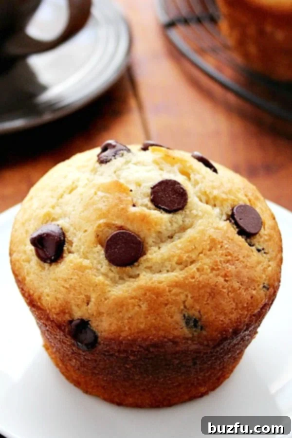 Gourmet Giant Chocolate Chip Muffins 1 featured 11243