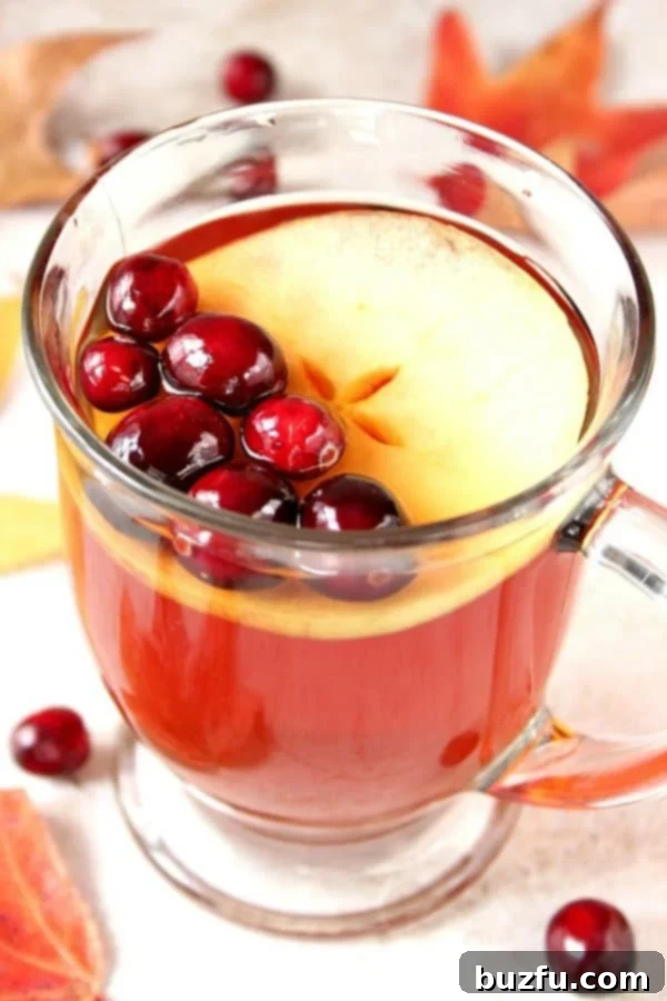 Slow Cooker Apple Cranberry Comfort Brew 1 featured 14439