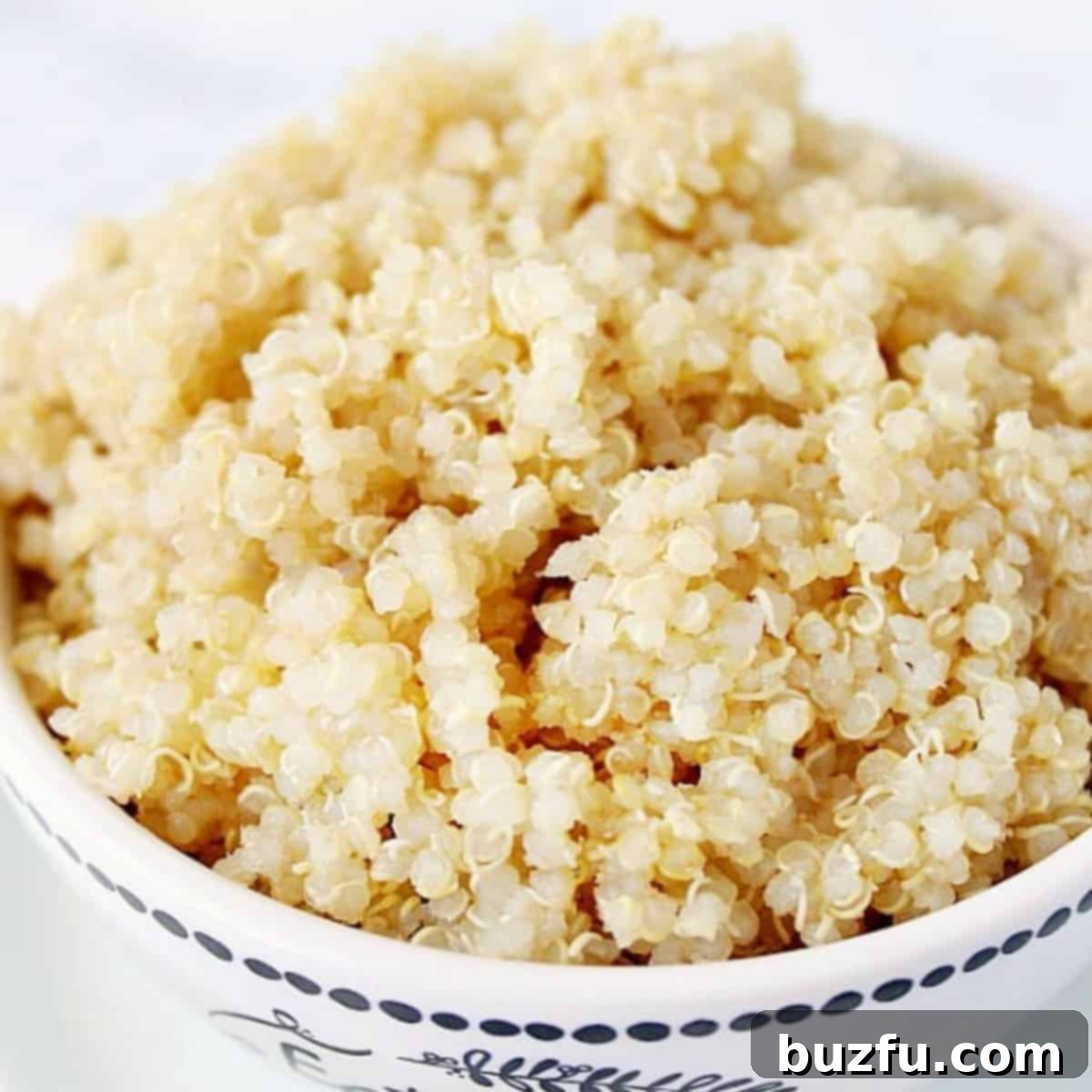 Instant Pot Quinoa in One Minute 1 featured 19950