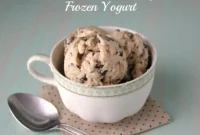 Indulgent Chocolate Chunk Cookie Dough Frozen Yogurt