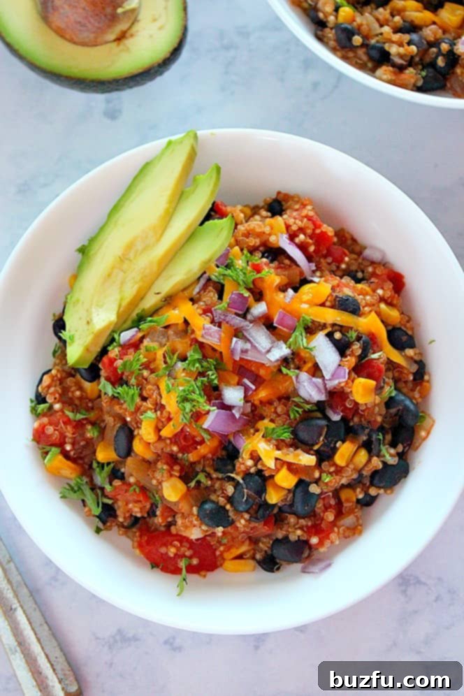 Quick and Zesty Instant Pot Mexican Quinoa 1 featured 21991