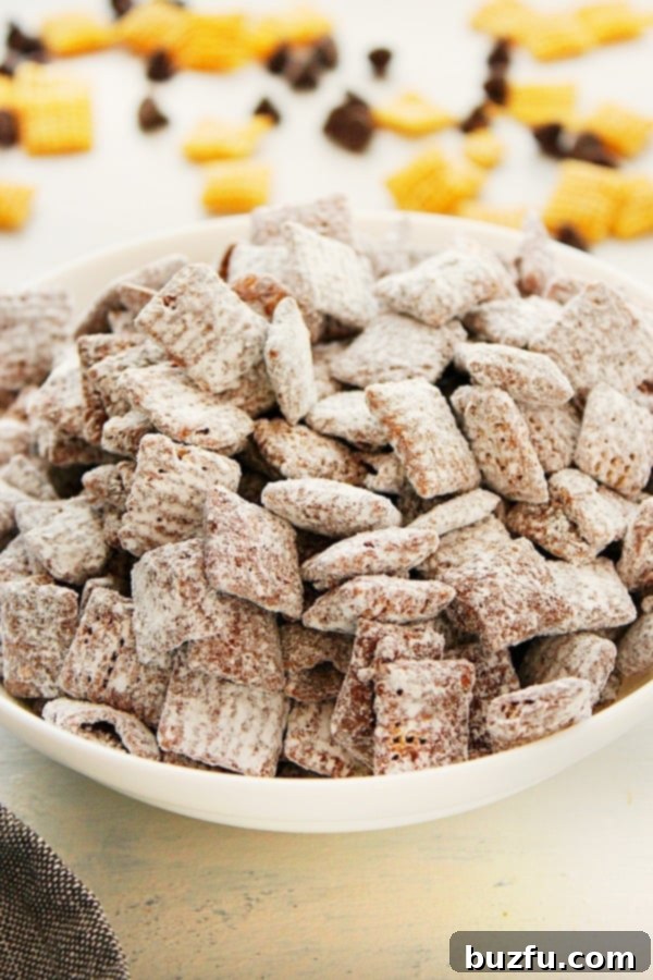 Irresistible Muddy Buddies 1 featured 30671