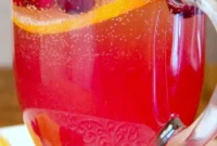Refreshing Orange Cranberry Spritzer Recipe