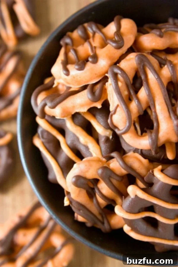 Pumpkin Spice Chocolate Pretzel Treats 1 featured 9035