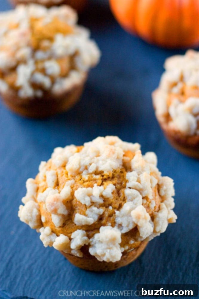 Autumn Spiced Pumpkin Crumble Muffins 1 featured 9671