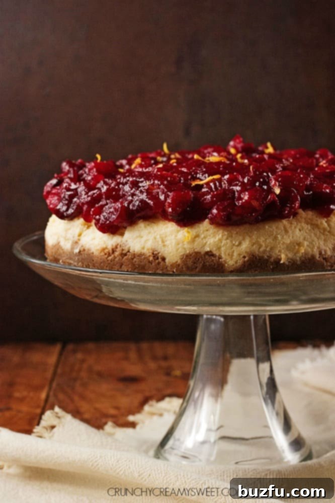 Close-up view of a slice of Cranberry Orange Cheesecake, showcasing the creamy filling, graham cracker crust, and a generous layer of glistening cranberry sauce.