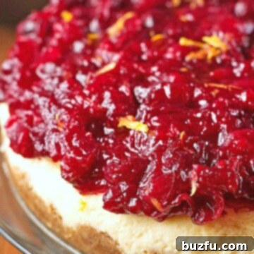 Cranberry Orange Cheesecake on a cake stand, with a slice already removed, revealing the creamy interior and vibrant topping.