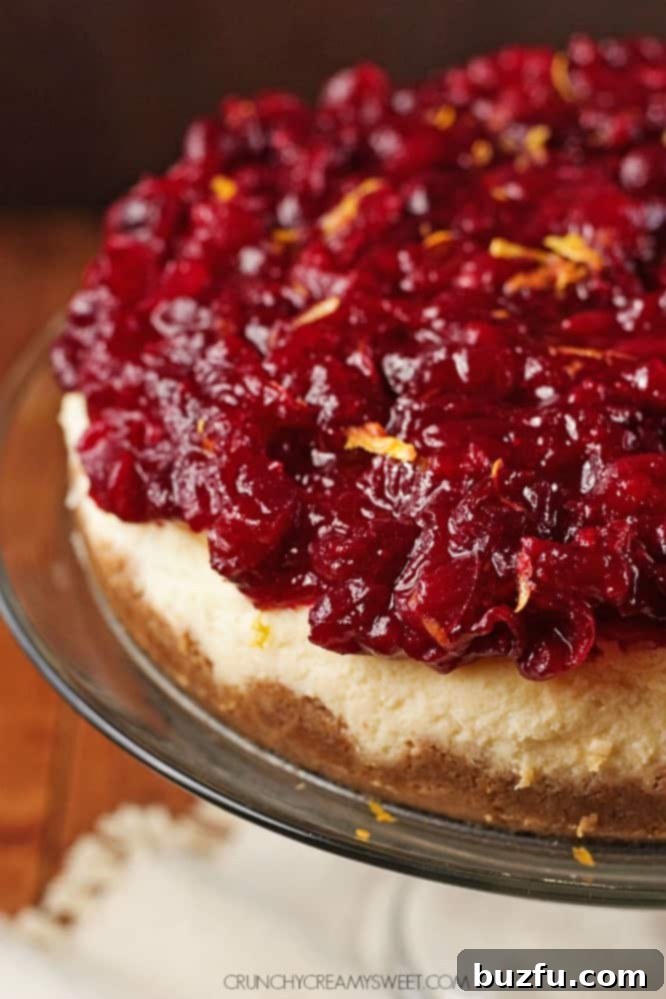 A perfectly sliced Cranberry Orange Cheesecake, with a serving removed, highlighting the creamy layers and the rich cranberry topping. The remaining cheesecake stands ready for more servings.