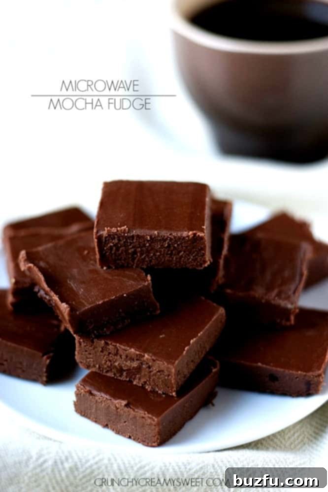 Speedy Mocha Indulgence 2 Silky Smooth Microwave Mocha Fudge squares on a plate, ready to enjoy