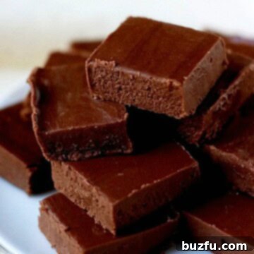 Speedy Mocha Indulgence 3 Microwave Mocha Fudge pieces on a plate.