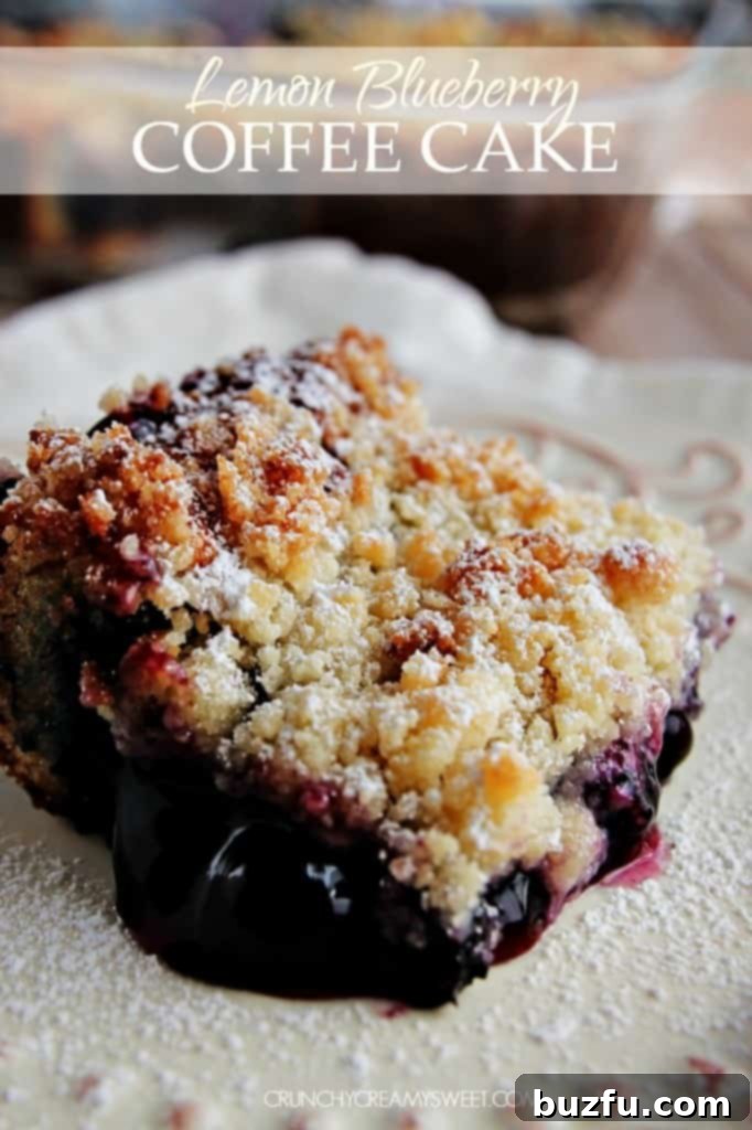 Easy Lemon Blueberry Coffee Cake with Crumb Topping Lemon Blueberry Coffee Cake with a Crumb Topping, a perfect lazy Sunday dessert