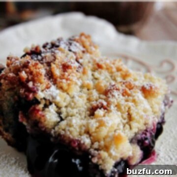 Zesty Lemon Blueberry Coffee Cake 2 Lemon Blueberry Coffee Cake with a Crumb Topping