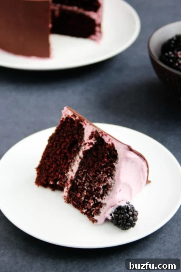 Luscious Chocolate Mini Cakes with Blackberry Buttercream 3 Close-up view of a beautifully assembled Mini Layer Cake with vibrant Blackberry Cream Cheese Frosting, showcasing its delicate layers.