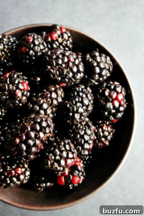 Luscious Chocolate Mini Cakes with Blackberry Buttercream 5 Fresh, plump blackberries, showcasing their rich color and texture, chosen for their unique flavor profile to complement chocolate.