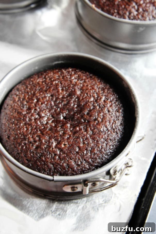 Luscious Chocolate Mini Cakes with Blackberry Buttercream 6 Freshly baked mini chocolate cakes, perfectly domeless and ready for frosting, sitting on a cooling rack.