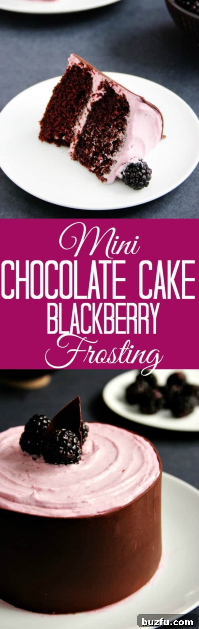 Luscious Chocolate Mini Cakes with Blackberry Buttercream 7 A tall, elegant view of the mini chocolate cake, beautifully decorated with a chocolate wrap and fresh blackberries, highlighting its luxurious appeal.
