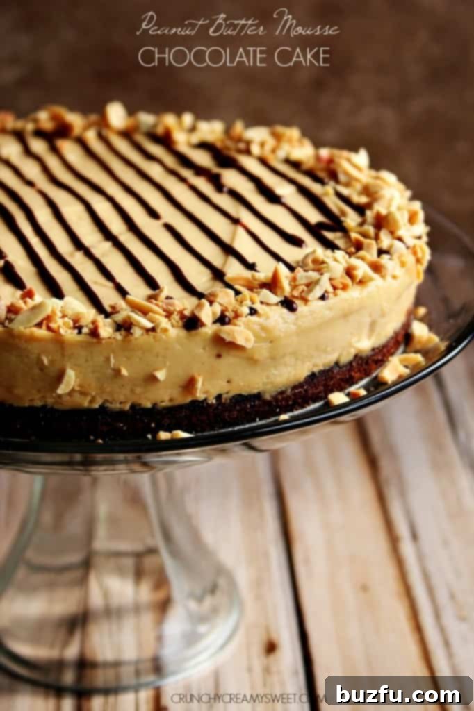 Peanut Butter Mousse Chocolate Cake: A delightful dessert combining rich chocolate cake with creamy peanut butter mousse.