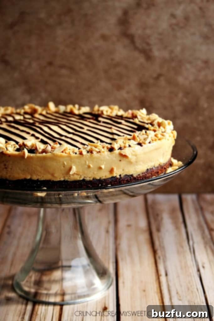 Peanut Butter Mousse Cake with chocolate drizzle and chopped peanuts, presented beautifully.