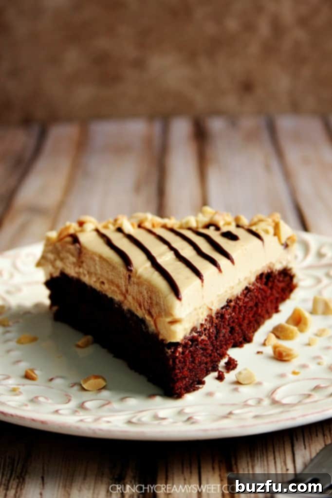 Sliced Peanut Butter Mousse Chocolate Cake, showcasing its beautiful layers.
