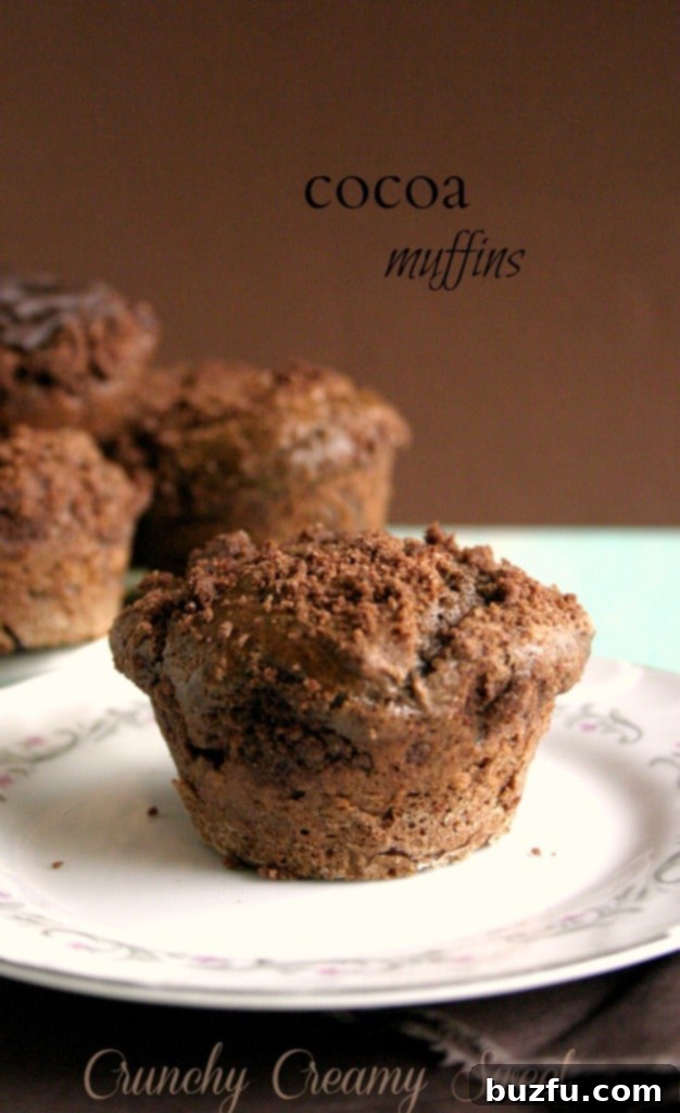 Delectable Cocoa Muffins Delicious and moist cocoa muffins with a delightful streusel topping, perfect for breakfast or a sweet treat.