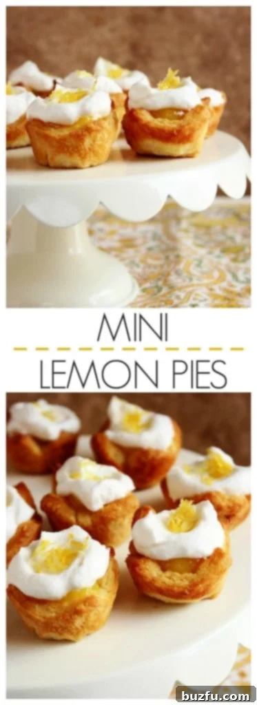 Easy Mini Lemon Pies crunchycreamysweet.com - ready to serve