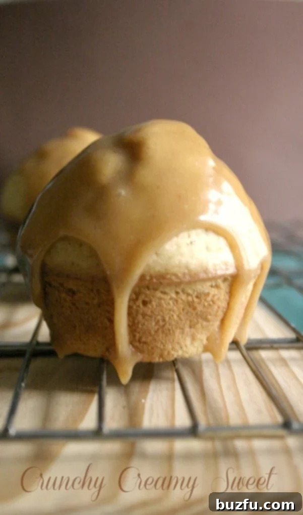 A close-up shot of a single Spice Donut Muffin, showcasing its soft texture and golden brown exterior.