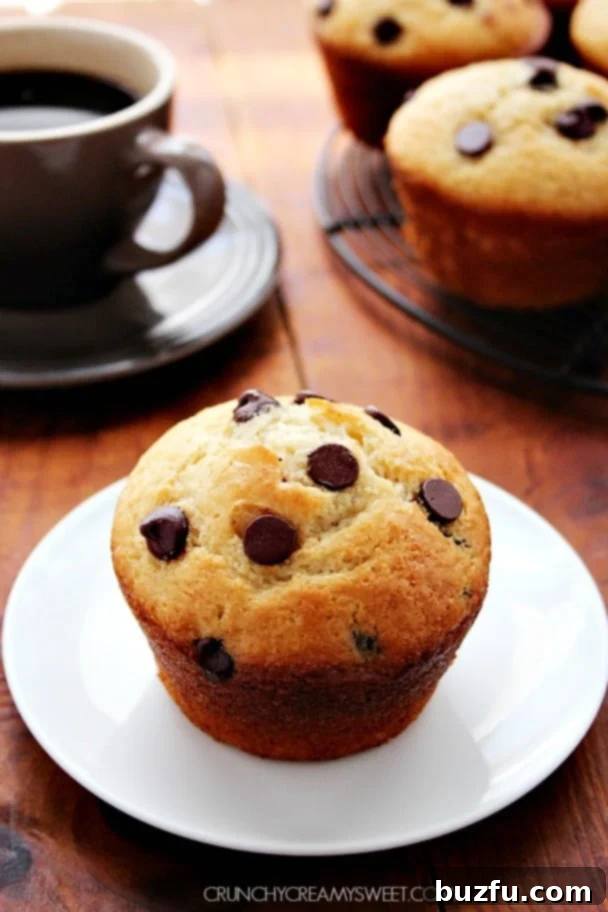 Bakery Style Chocolate Chip Muffins - big fluffy muffins filled with chocolate chips. Bakery style treat made in your own kitchen! crunchycreamysweet.com Bakery Style Chocolate Chip Muffins - big fluffy muffins filled with chocolate chips. Bakery style treat made in your own kitchen! crunchycreamysweet.com