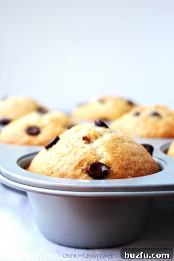 Bakery Style Chocolate Chips Muffins crunchycreamysweet.com Bakery Style Chocolate Chips Muffins crunchycreamysweet.com