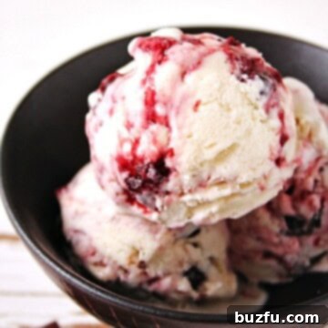 Cherry Preserves Swirl and Dark Chocolate Chunk Ice Cream - super easy homemade ice cream recipe with a 2-ingredient base! @crunchycreamysw