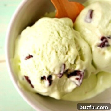 Mint Chocolate Chip Ice Cream - a 4-ingredient ice cream recipe!