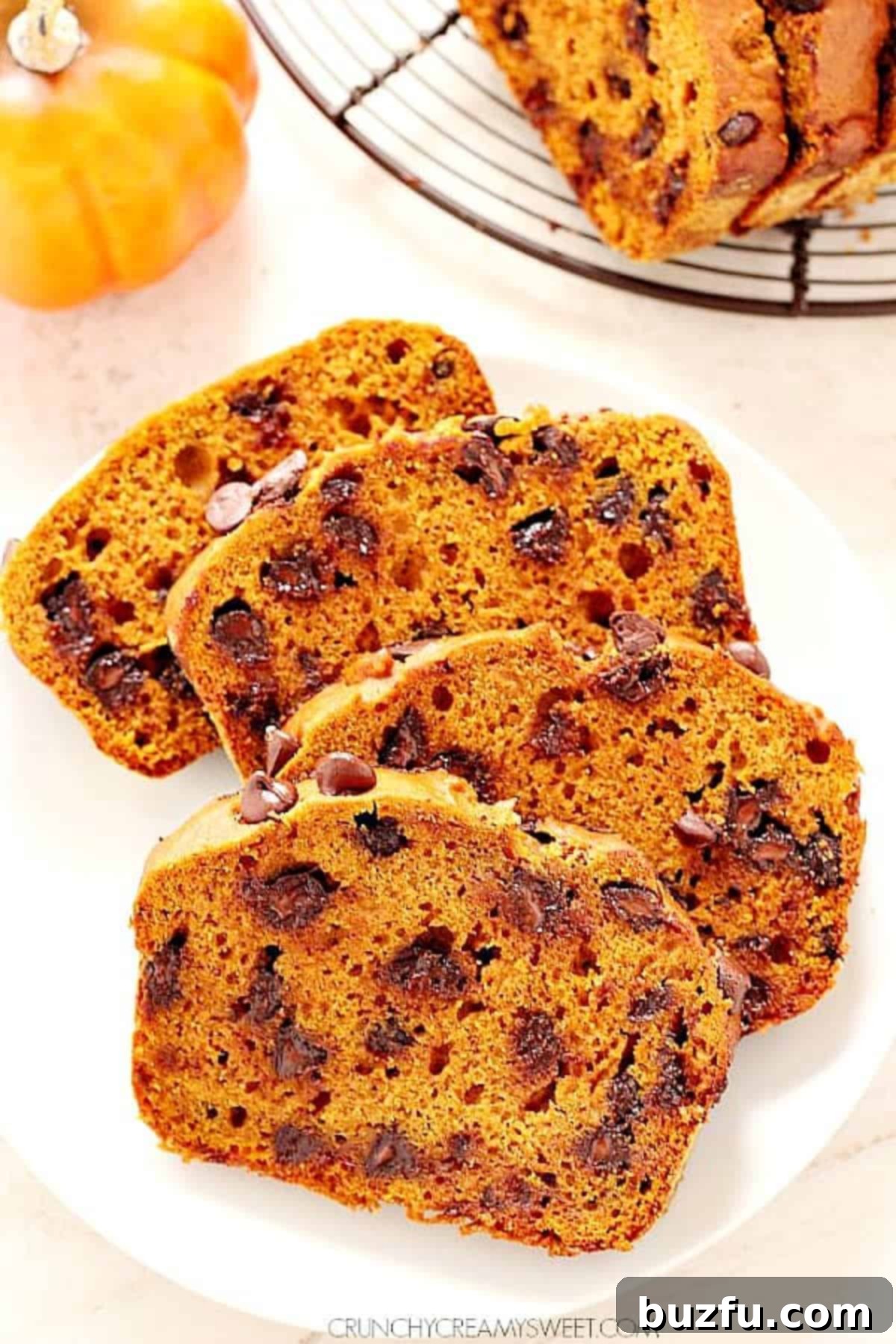 Four slices of moist pumpkin bread with chocolate chips on a rustic plate, garnished with a sprig of fresh rosemary.