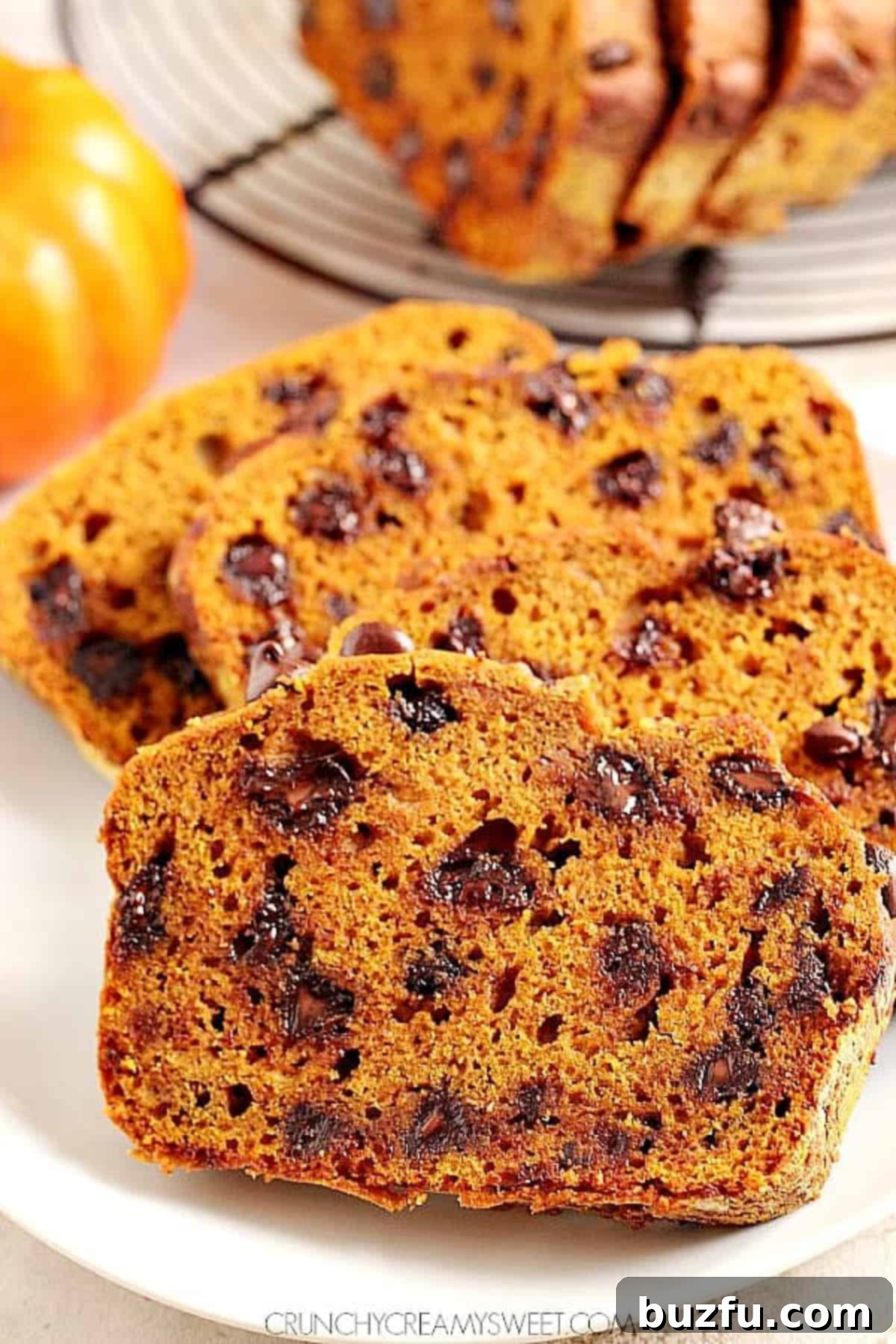 Perfectly sliced pumpkin bread on a plate, showing the moist crumb and evenly distributed chocolate chips.