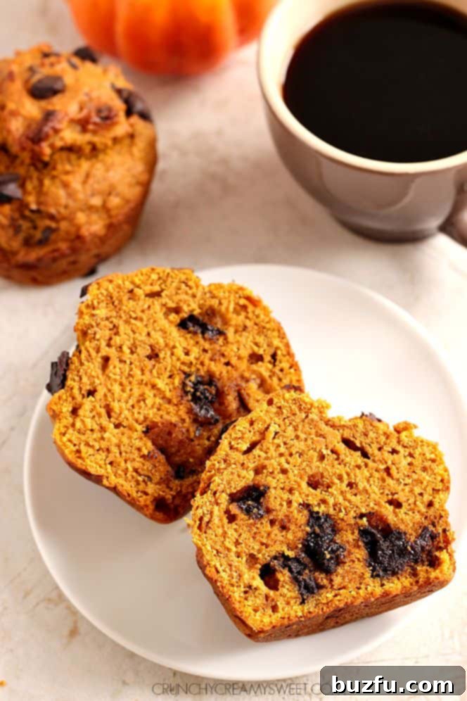 A trio of freshly baked bakery-style pumpkin muffins, featuring golden-brown, domed tops and glistening chocolate chunks.