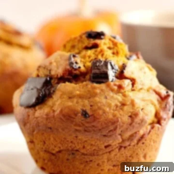 Chocolate Chunk Pumpkin Muffin on a plate, ready to be eaten.