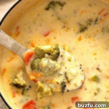 Homemade Panera Broccoli Cheese Soup 2 Panera-style Broccoli Cheese Soup in a pot with a ladle.