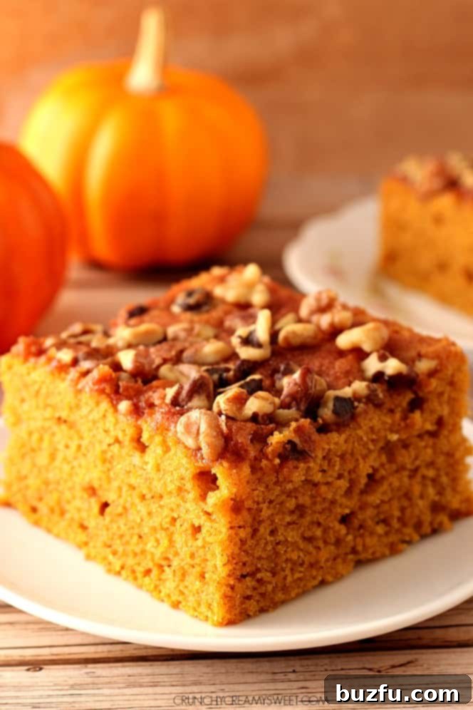 Close-up of snickerdoodle pumpkin cake slice, showing the moist interior and cinnamon sugar topping with nuts.