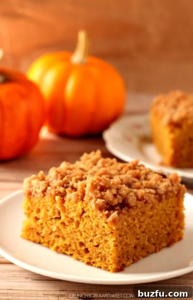 The best pumpkin crumb cake, a moist and spiced cake with a streusel topping.