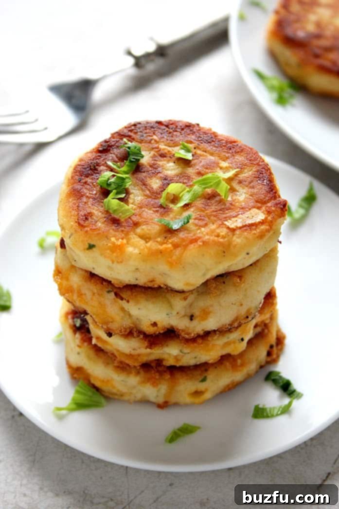 Crispy Leftover Mashed Potato Cheddar Ranch Cakes, golden brown and perfectly seasoned. An ideal way to use up leftover mashed potatoes, featuring cheese and ranch seasoning for an irresistible flavor. Quick and easy recipe.