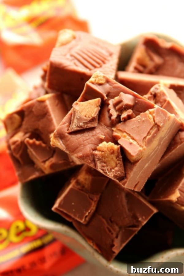 Reese's Fudge pieces in a bowl, showcasing the rich chocolate and peanut butter cup chunks.