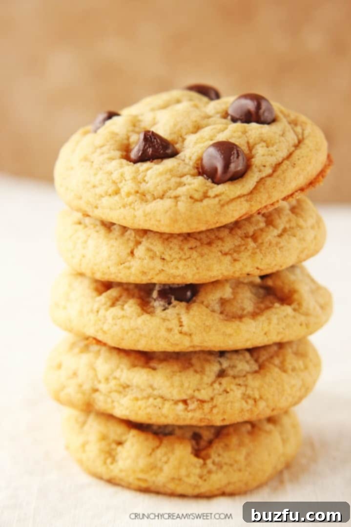 Easy Pudding Chocolate Chip Cookies
