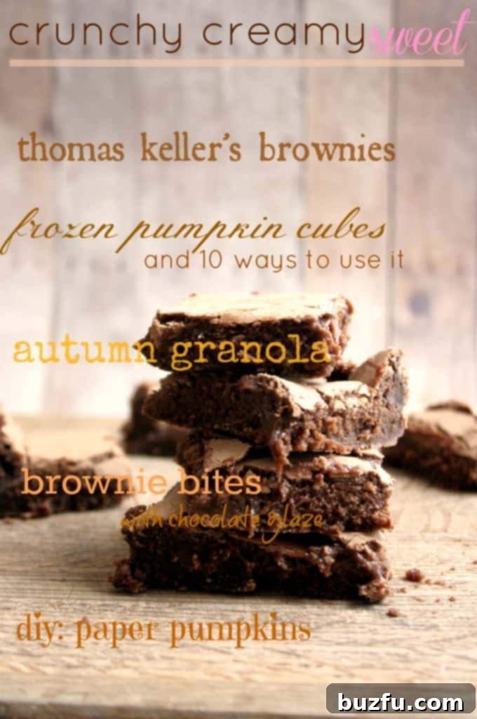 Weekend Rewind 1 img 1293 1