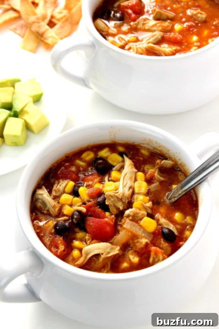 Quick & Easy 20-Minute Chicken Enchilada Soup - A flavorful weeknight meal idea. Overhead shot of two white soup bowls filled with vibrant chicken enchilada soup, garnished with fresh cilantro and a dollop of sour cream.