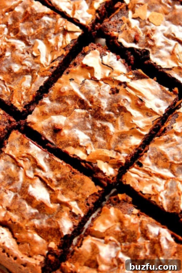 Overhead shot of perfectly cut fudgy brownies with a shiny, flaky top, ready to be enjoyed.