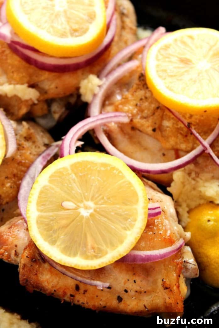 Chicken thighs with lemon slices arranged in pan.