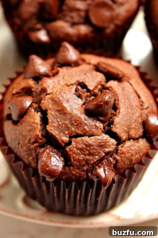 A perfectly baked Chocolate Peanut Butter Blender Muffin, showcasing its domed top and rich chocolate color, resting on a clean white plate.