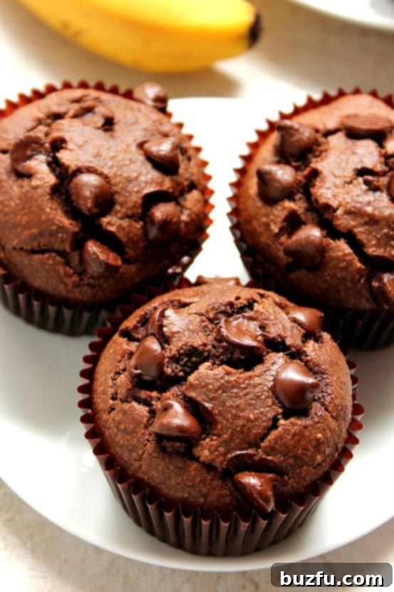 A beautiful arrangement of freshly baked, fluffy chocolate blender muffins cooling on a wire rack, ready to be enjoyed.