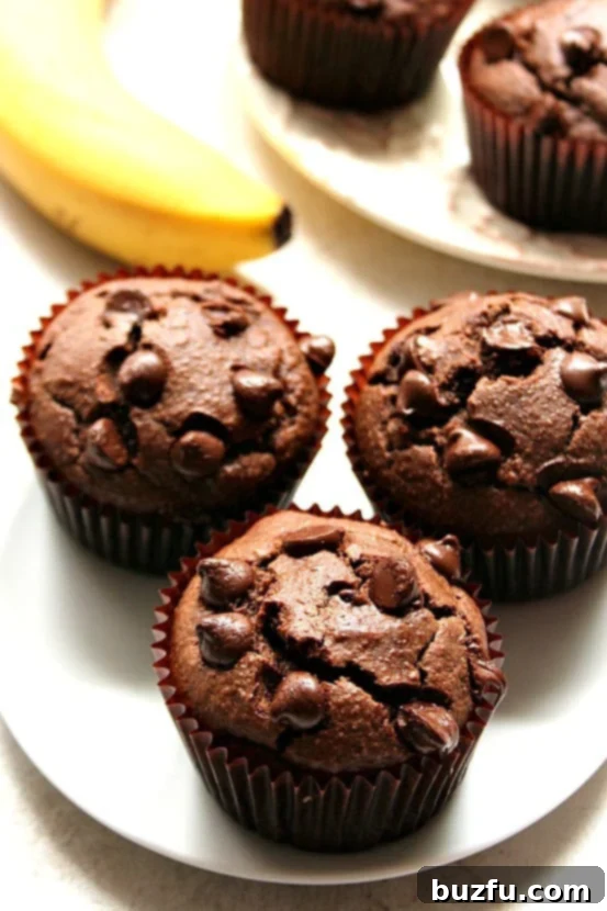 Four delicious chocolate peanut butter blender muffins, topped with extra chocolate chips, arranged appealingly.