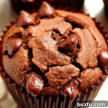 Close-up of a single Chocolate Peanut Butter Blender Muffin, featuring its rich texture and chocolate chips, on a white plate.