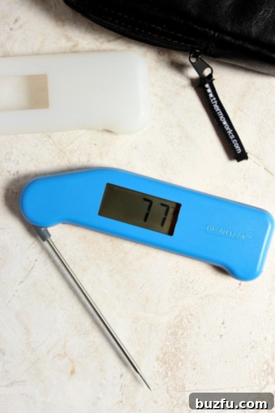 May 2016 Gems 3 thermoworks thermapen a fast and accurate digital meat thermometer
